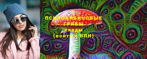 соль ск Верхний Тагил