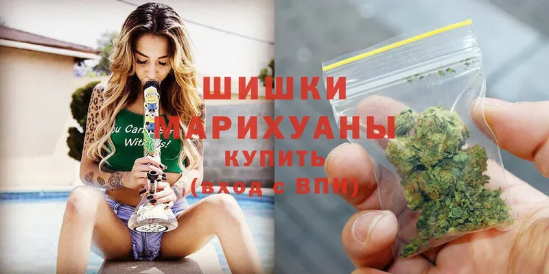 блэк спрут зеркало  как найти закладки  Кузнецк  Конопля Ganja 